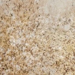 (Set Of 2) 22" X 28" Glimmer Hand Brush Embellished Canvas Gold -Madison Park GUEST 36f29482 83ec 4099 9ccb 6dba2b46c200