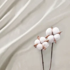 300 Thread Count Organic Cotton Deep Pocket Sheet Set - Madison Park -Madison Park GUEST f7797d90 7ad1 4324 8996 d08d0f9275fa